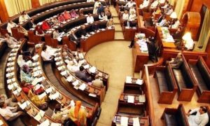 Sindh Assembly: MQM Members Protest After PPP Member Calls Bihari's Illegal Immigrants