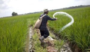 ECC Approves Subsidy for Urea Fertilizer Import and More