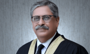 Justice Athar Minallah, in a Supreme Court order, criticized the state's attention on political rivals